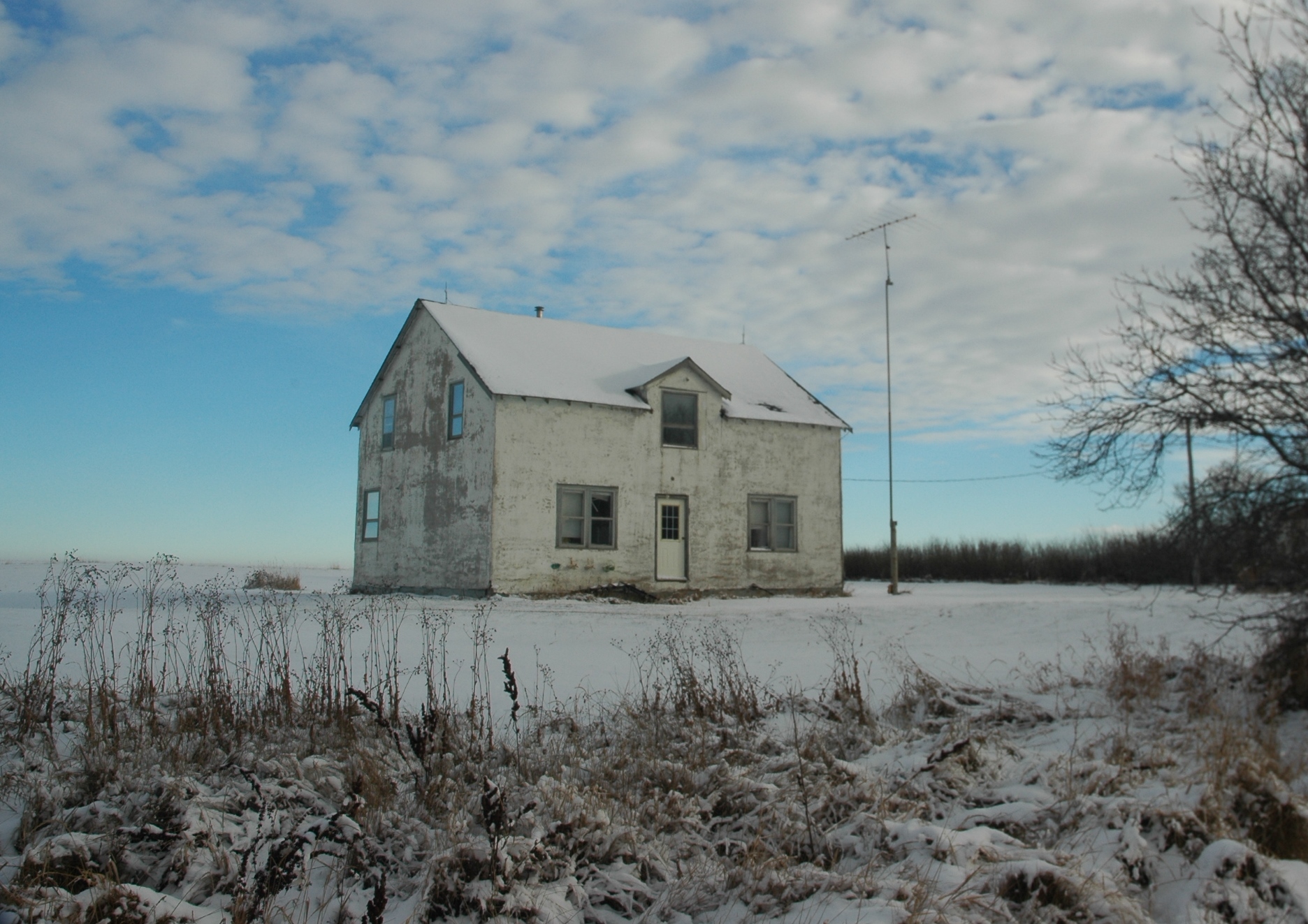 The Great White Winter