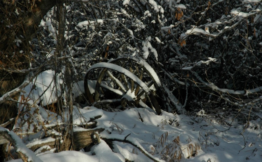 The Great White Winter