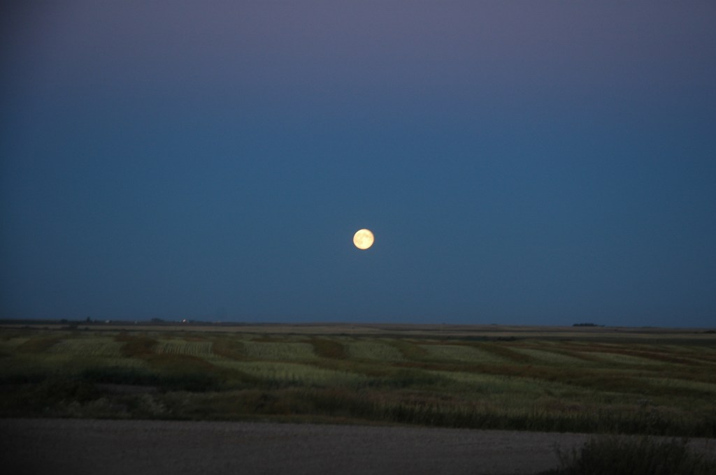 Running Water by Moonlight