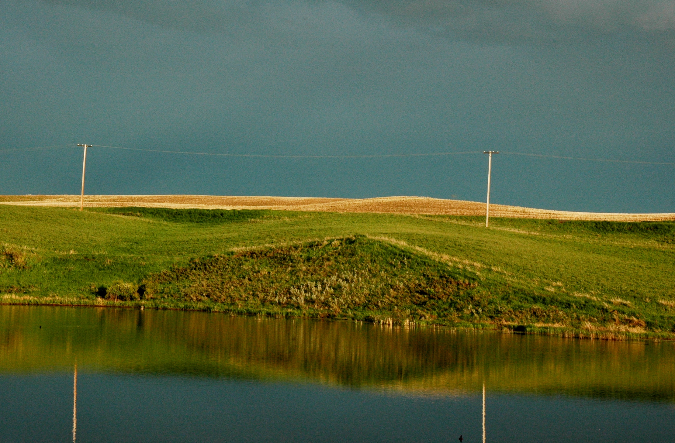 A Study in Contrasts 