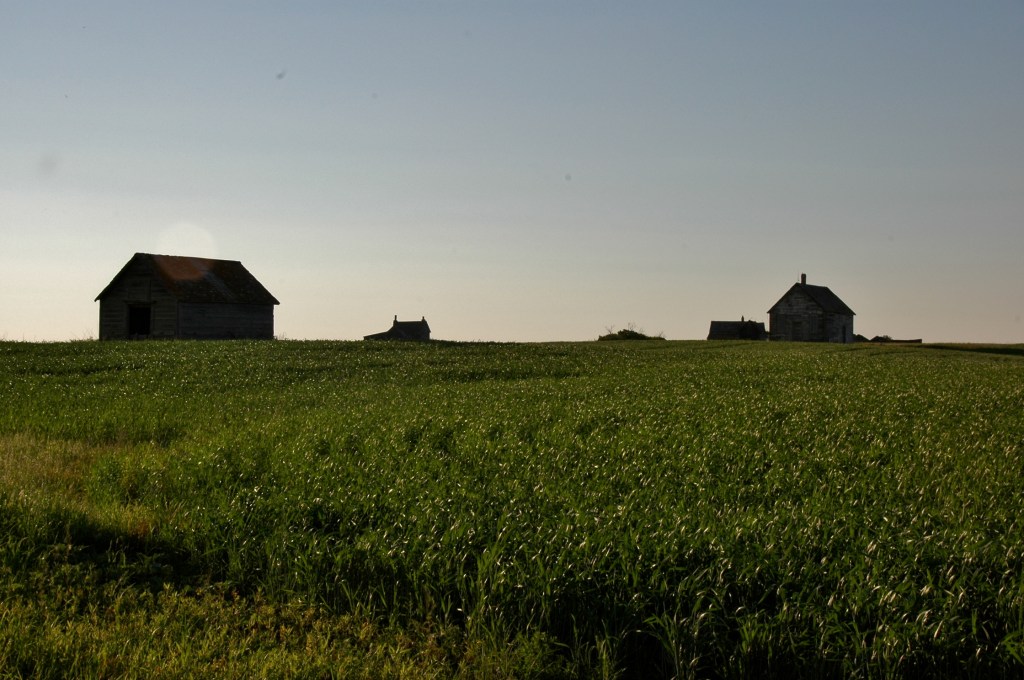 Brooking today. Kristin Catherwood. July 10, 2014. 