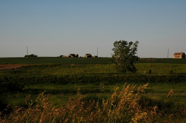 Brooking from the west. Kristin Catherwood. July 10, 2014. 