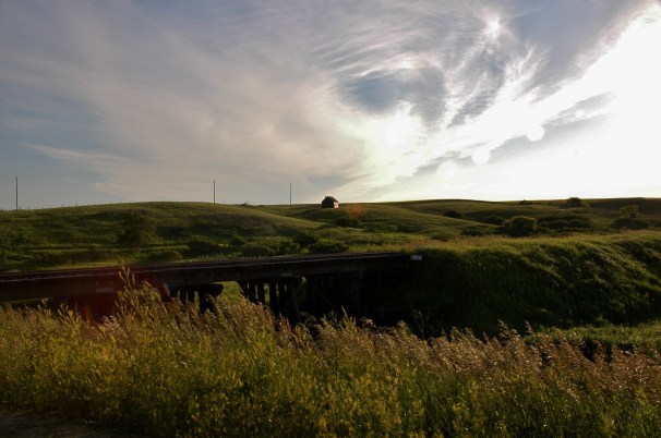 Buffalo Valley. Kristin Catherwood. July 10, 2014. 