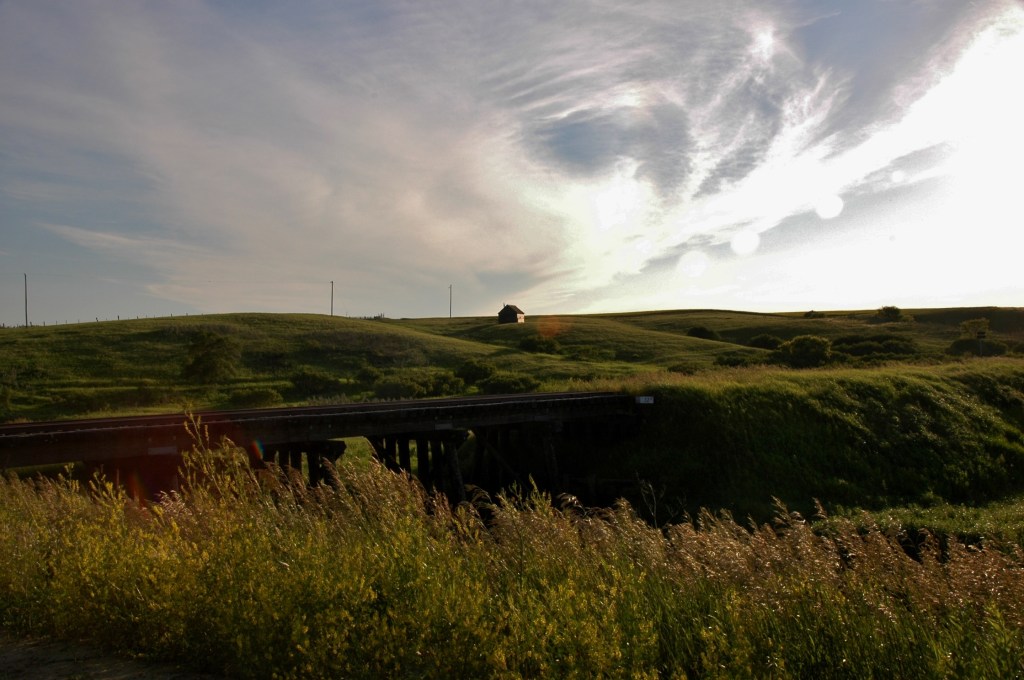 Buffalo Valley. Kristin Catherwood. July 10, 2014. 