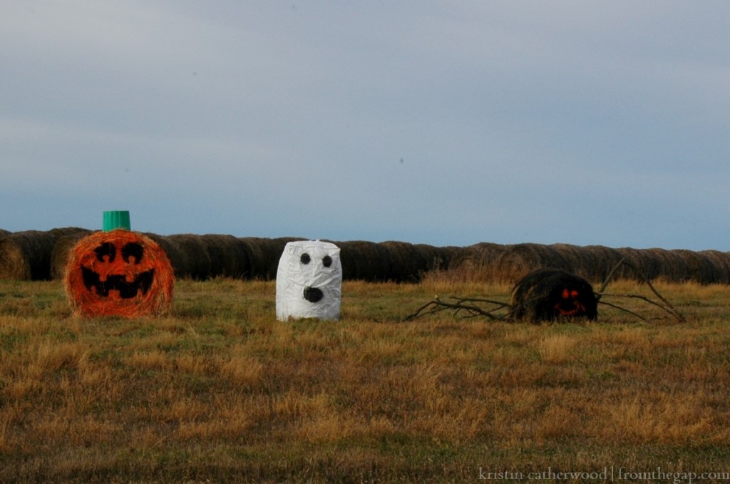 South of Radville. October 23, 2014. 