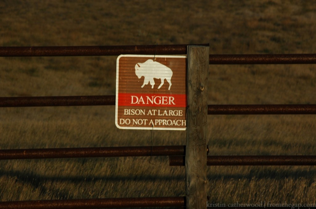 Prairie Pilgrimage: I