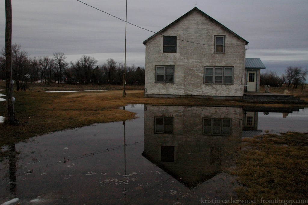 Printemps (or, The Big Puddle)