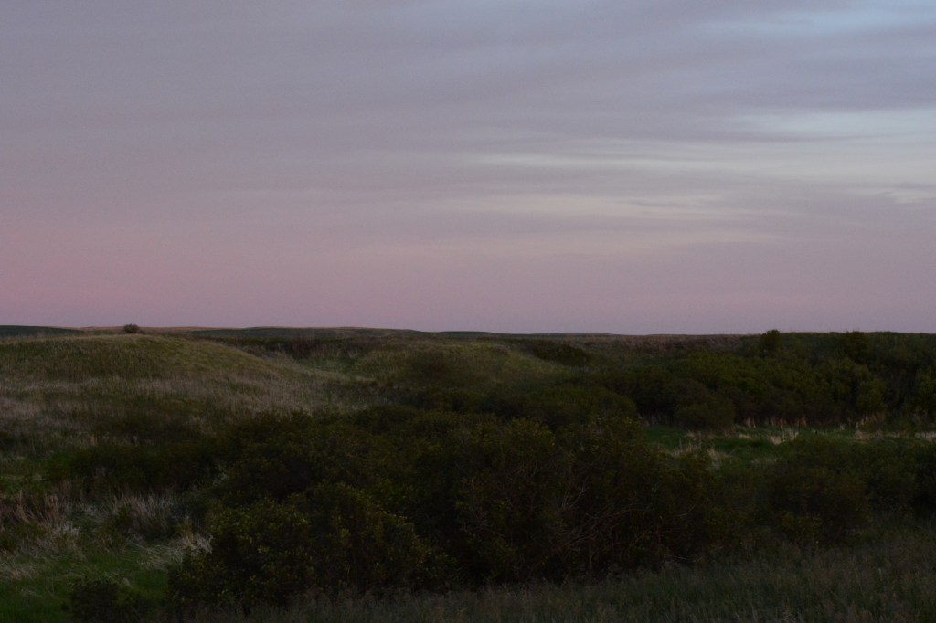 A Particular Shade of Mauve