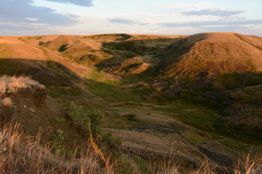 These Southern Hills